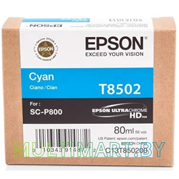 Картридж Epson C13T850200 картинка 2